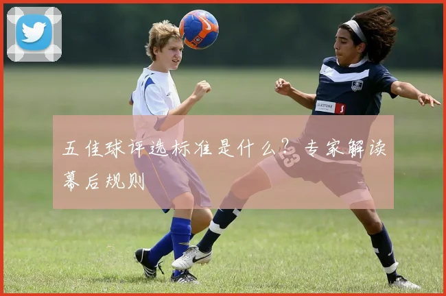 五佳球评选标准是什么?专家解读幕后规则